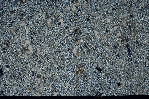 Cross Polarized, N12473