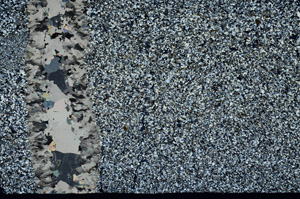 Cross Polarized, N12474