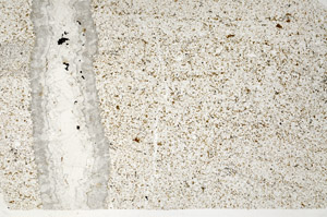 Plane Polarized, N12474