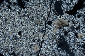 Cross Polarized, N12475