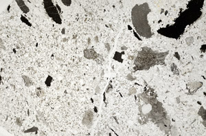 Plane Polarized, N12475