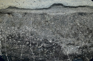 Cross Polarized, N12477