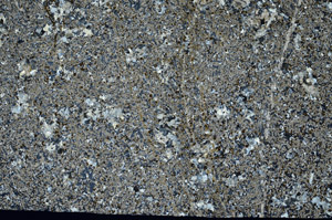 Cross Polarized, N12478