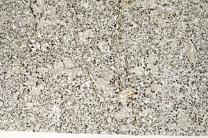 Plane Polarized, N12478