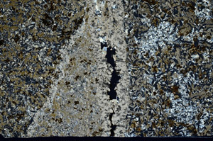 Cross Polarized, N12479