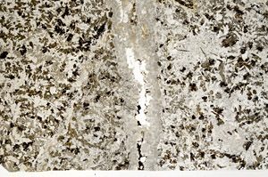 Plane Polarized, N12479