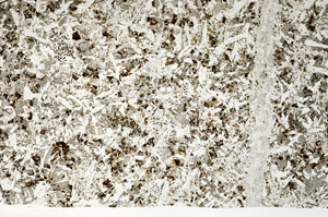 Plane Polarized, N12480