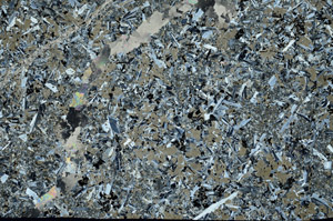 Cross Polarized, N12482