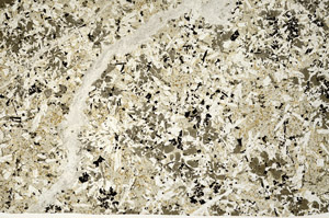 Plane Polarized, N12482