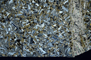 Cross Polarized, N12483