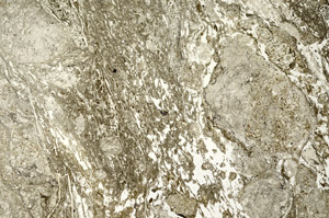 Plane Polarized, N12488