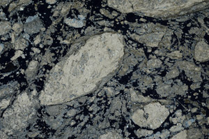 Cross Polarized, N12489