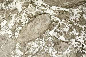 Plane Polarized, N12489