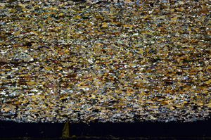 Cross Polarized, N12495/A