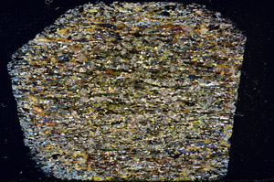 Cross Polarized, N12495/B