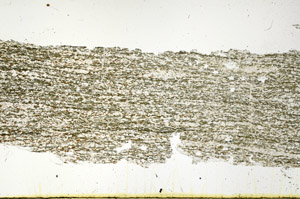Plane Polarized, N12496