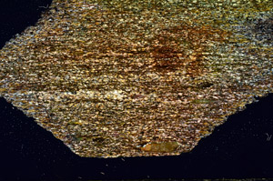 Cross Polarized, N12496/B