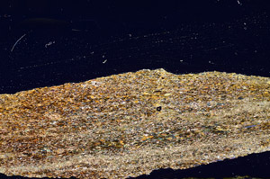 Cross Polarized, N12497/A