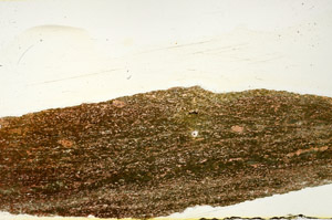 Plane Polarized, N12497/A