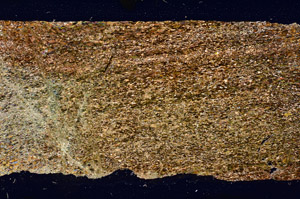 Cross Polarized, N12497/B