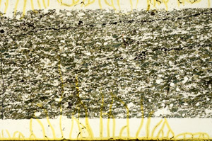 Plane Polarized, N12498
