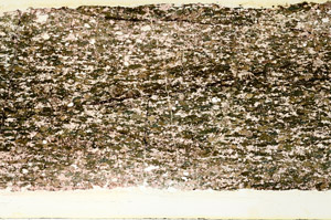 Plane Polarized, N12498/B