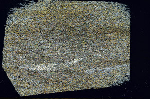 Cross Polarized, N12499