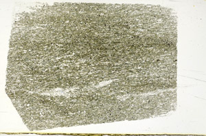 Plane Polarized, N12499