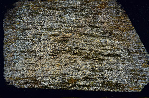 Cross Polarized, N12506/B