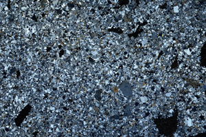 Cross Polarized, N12512