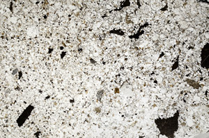 Plane Polarized, N12512