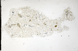 Plane Polarized, N12515