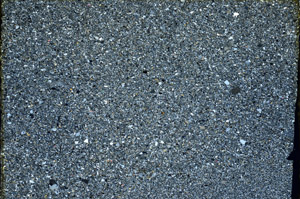 Cross Polarized, N12544