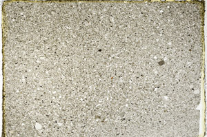 Plane Polarized, N12544