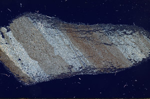 Cross Polarized, N12555