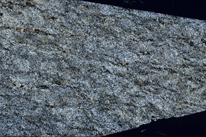 Cross Polarized, N12585