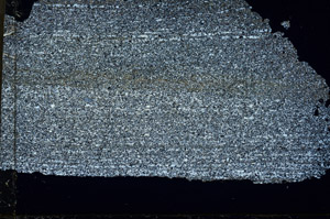 Cross Polarized, N12594