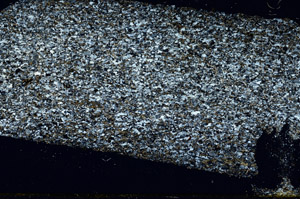 Cross Polarized, N12596/A