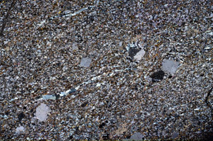 Cross Polarized, N12599