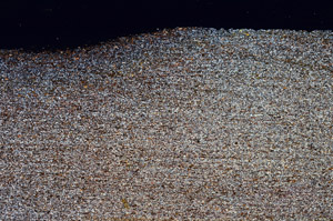 Cross Polarized, N12600