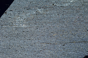 Cross Polarized, N12601/A