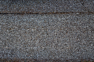 Cross Polarized, N12602