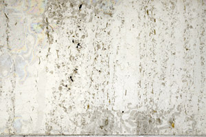 Plane Polarized, N12605