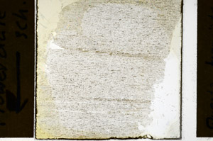Plane Polarized, N12608