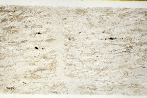 Plane Polarized, N12623