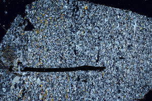 Cross Polarized, N12624