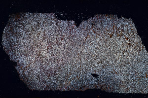 Cross Polarized, N12635/A