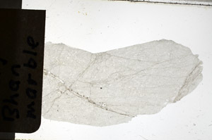 Plane Polarized, N12637