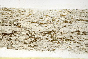 Plane Polarized, N12641