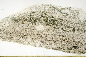Plane Polarized, N12644